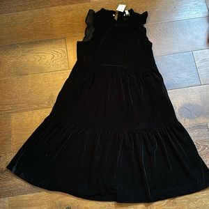 NWT Jcrew velvet flutter sleeve dress size 4P